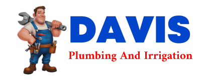 Trusted plumber in LUTTS